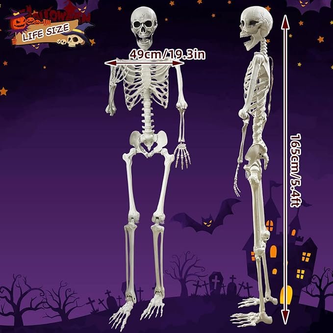 SKELETON
