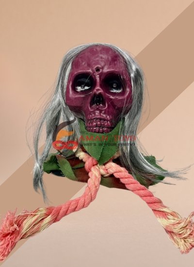 /images/products/sound-sensor-skull.jpg